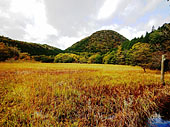 塩原自然研究路 大沼草紅葉