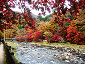 箒川渓谷 紅の吊橋