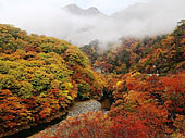 塩原渓谷遊歩道 箒川ダム