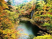 塩原渓谷遊歩道 回顧の滝