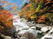 箒川渓谷(七ッ岩下流)