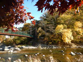 山ゆりの吊橋
